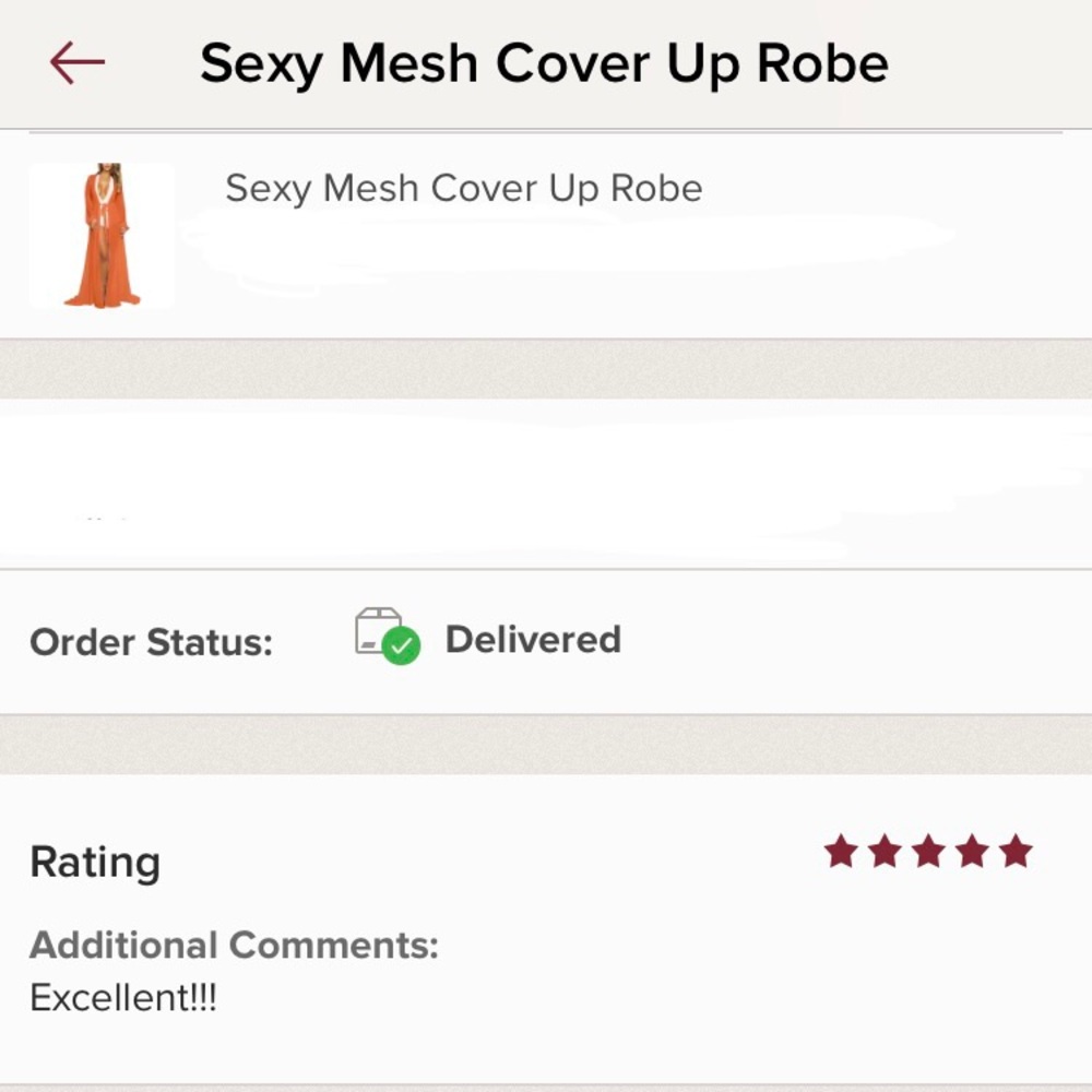 Sexy Mesh Cover Up Robe - Picture 3 of 3